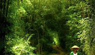paktani